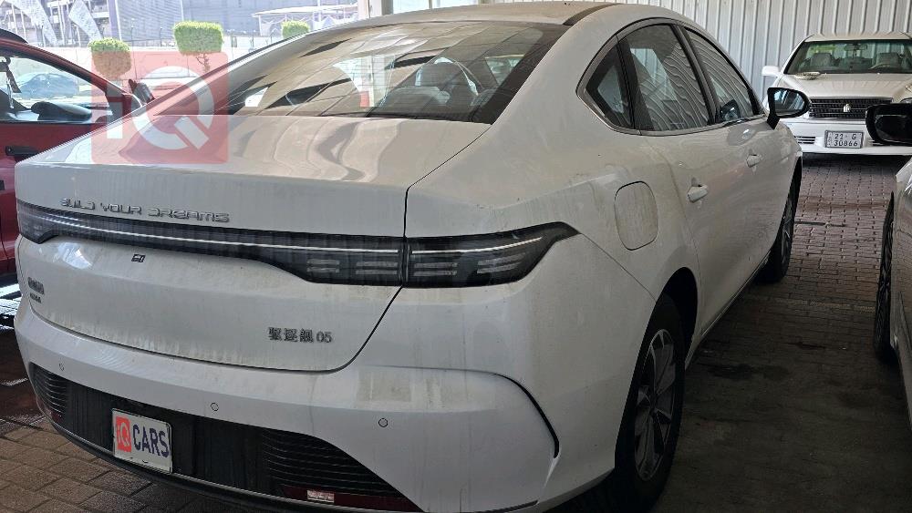 بي واي دي ديستروير 05